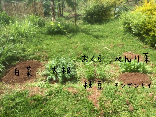 後
